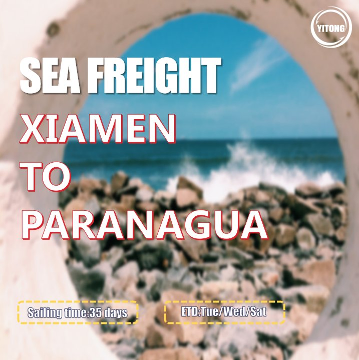 Forwarder Shipping Agent Full or Less Than Container Load DDU DDP Sea Freight Shipping From China to Paranagua Brazil