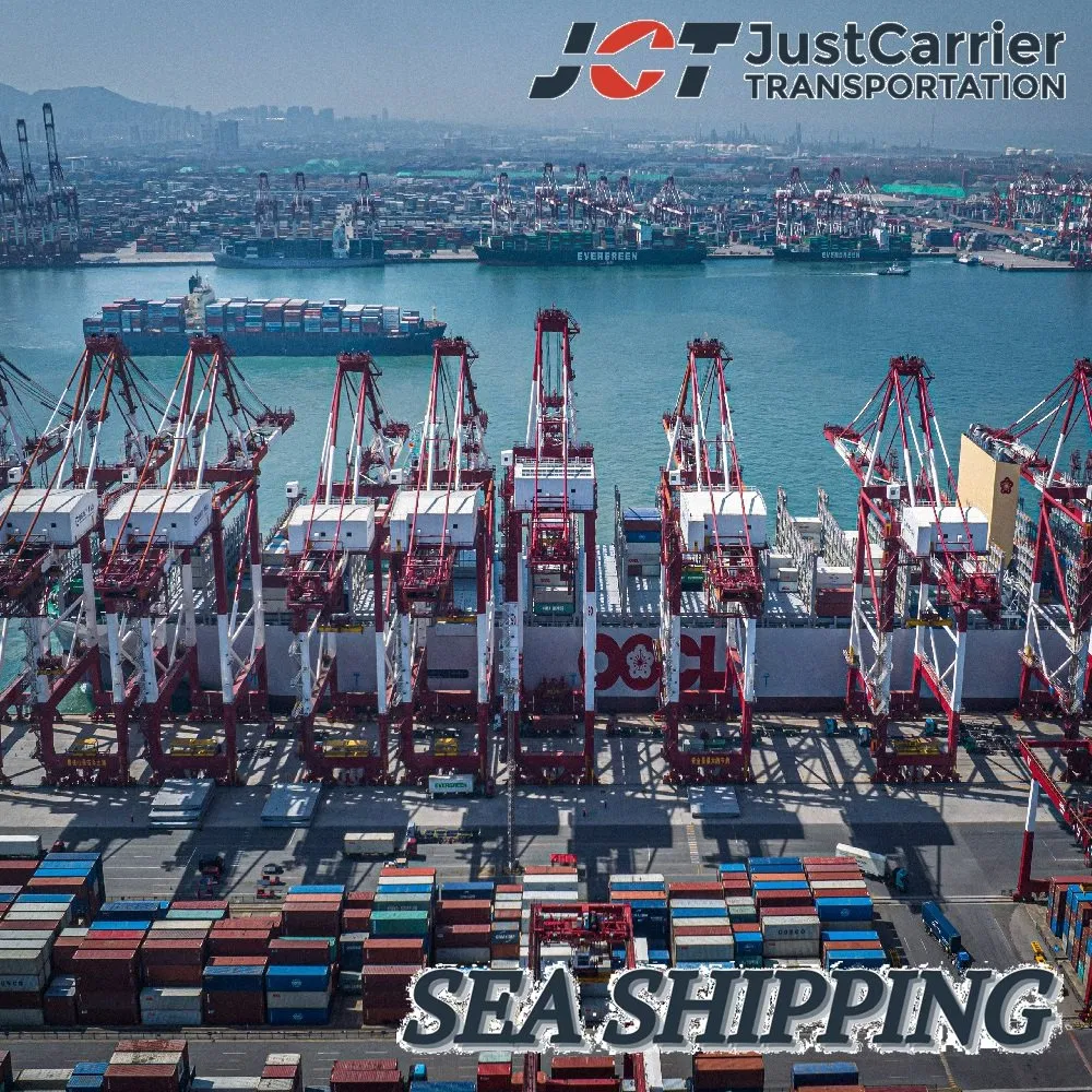 DDU/DDP Container Ocean Shipping Logistics Agent Sea Freight to Charlston, USA