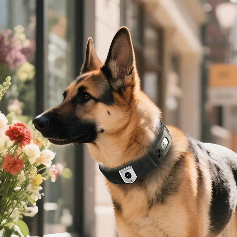 Fetchlink C10 Dog GPS Tracker &amp; Live Camera Smart Collar Real-Time Tracking, Geofence &amp; Video