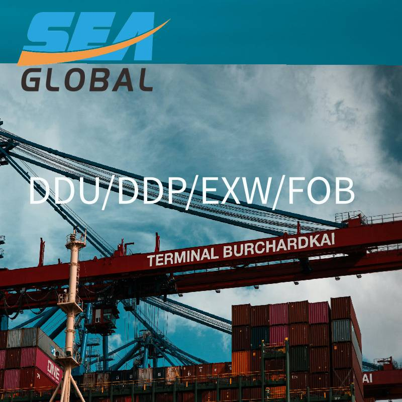 LCL Logistics Forwarder D2d Shipping Agent to Belgium Denmark Austria