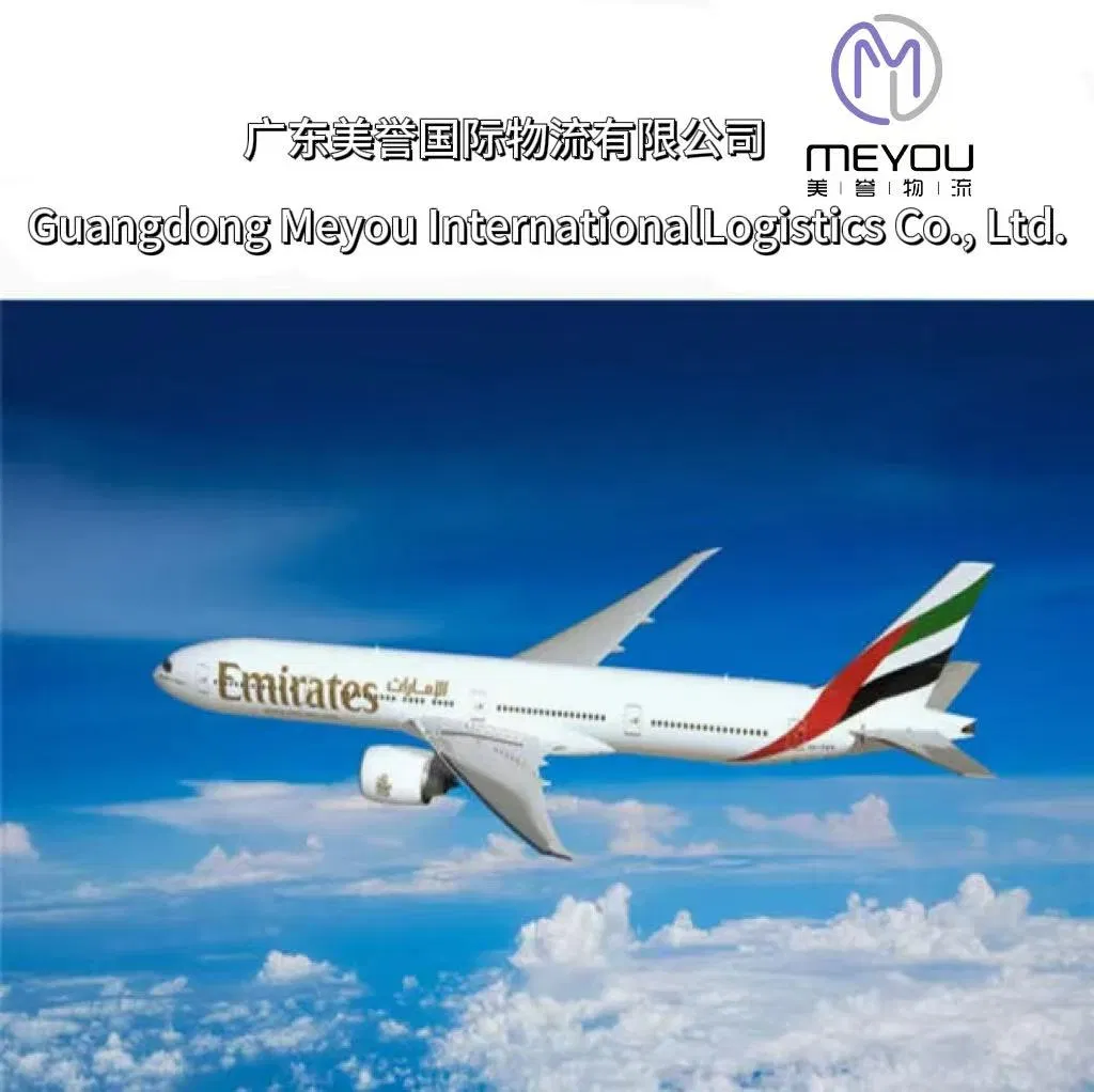 The Fastest Air Transportation Method (DDU/DAP/DDP) From China to Syria, Lebanon, Israel, Palestine, Jordan and Iraq