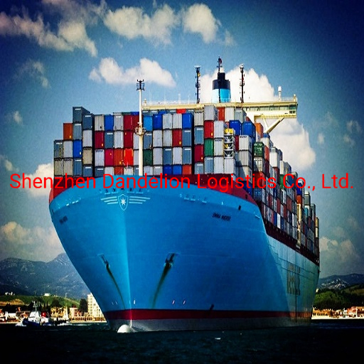 Shenzhen International Container Sea/Air/Rail/Railway/Road Freight Shipping Agent From China to The Whole World