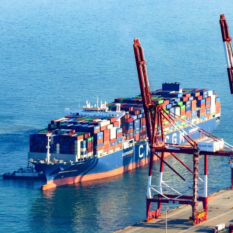 Dangerous Cargo/International /Logistic/Bulk Vessels/ Sea Freight/Container to USA