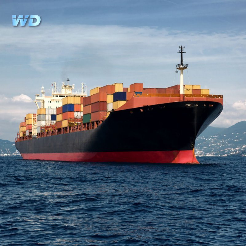 International Shipping Freight Forwarder Logistics Service Wholesale Cargo Ship for Sale Sea Air Cargo Service to Algeria Morocco