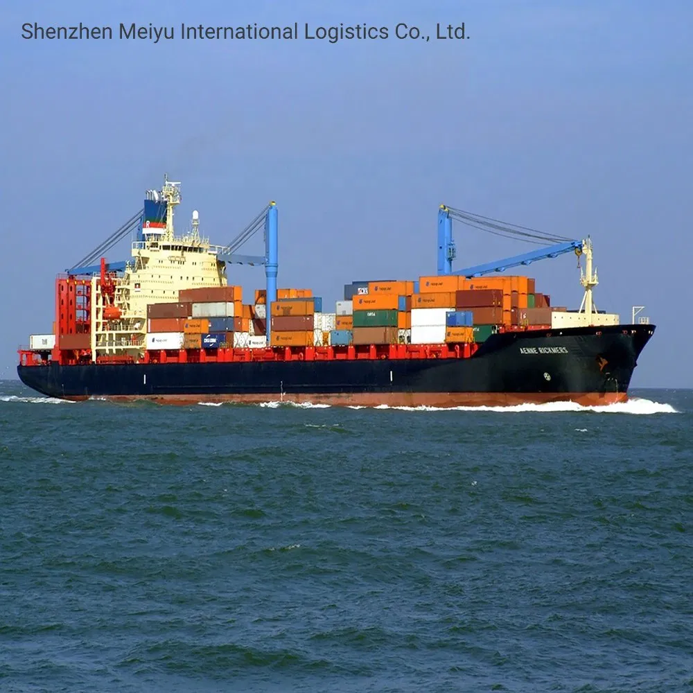 Door to Door Sea Shipping From China to USA Which Includes Customs Clearance and Taxes
