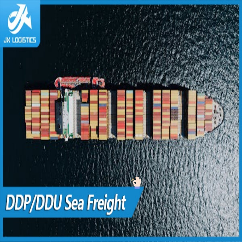 Reliable China to Miami Full Container Load Shipping Services