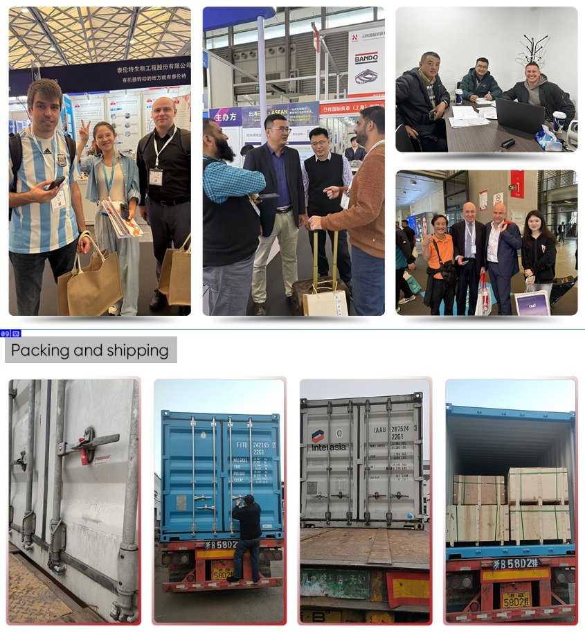 Heavy-Duty Double Plus Chain for Reliable Engine Performance