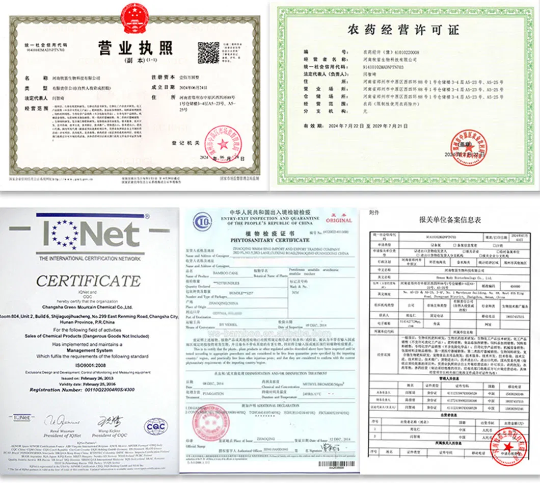 Certifications Display