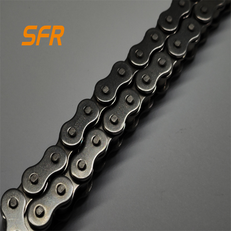 Express Sorting Conveyor System for Cold Chain Management