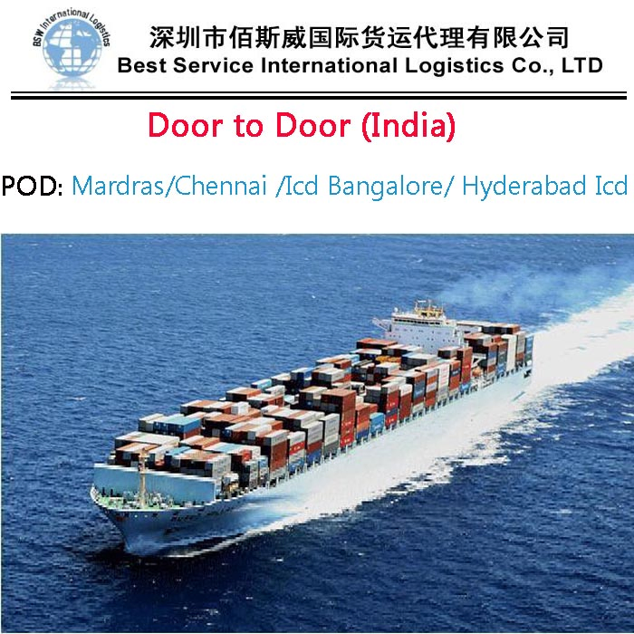 Cheapest and Professional Sea Freight Services From China to The World