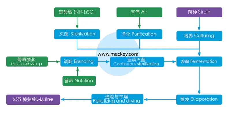 Process Flow Diagram 1