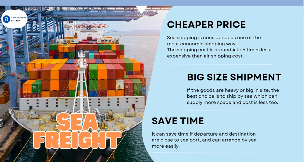 Professional FCL Shipping Agent