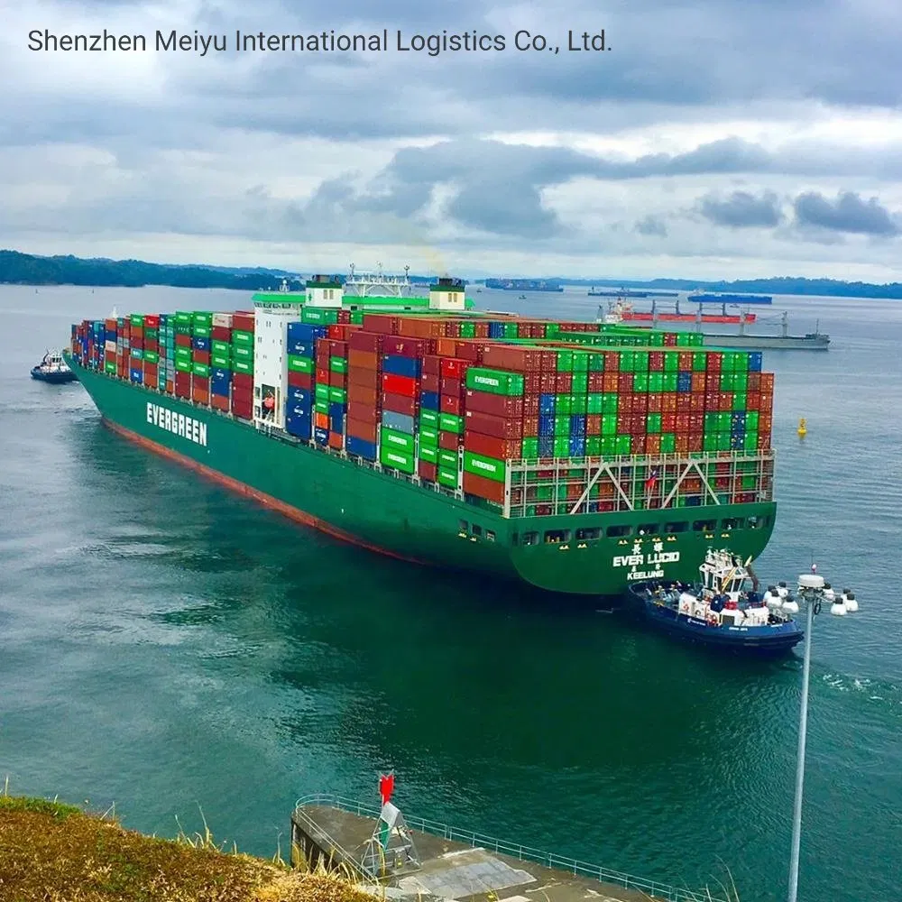 Door to Door Sea Shipping From China to USA Which Includes Customs Clearance and Taxes