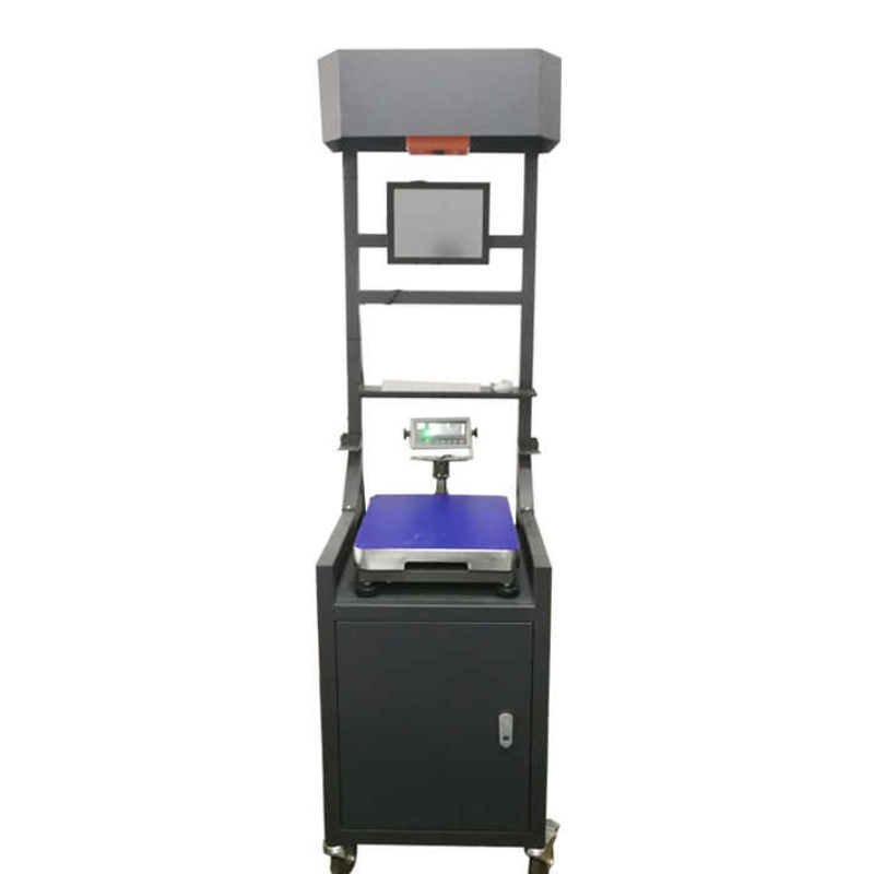 Revolutionize Your Parcel Management with Advanced Dws Technology