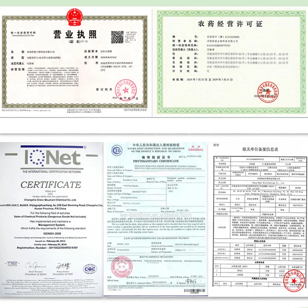 Crop-Specific Chemical Elements Calcium and Boron Mixture Water-Soluble Liquid to Promote Flowers and Fruits to Prevent Deficiency Stock Solution Wholesale