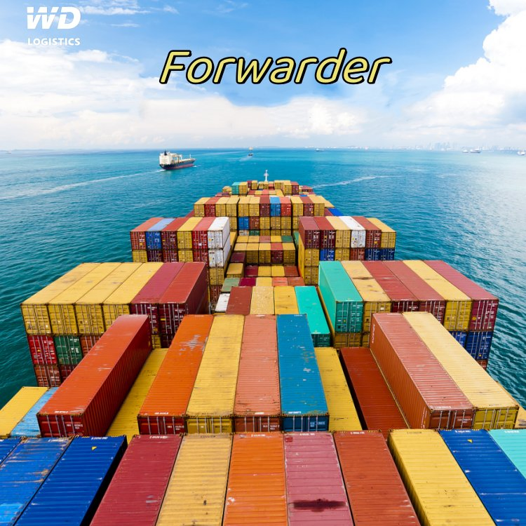 International Shipping Freight Forwarder Logistics Service Wholesale Cargo Ship for Sale Sea Air Cargo Service to Algeria Morocco