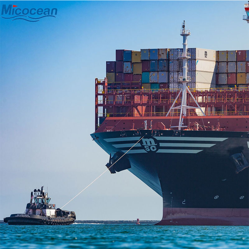 Sea Shipping Professional Forwarder Less Than Container Load Fast Freight DDP DDU to America/Canada