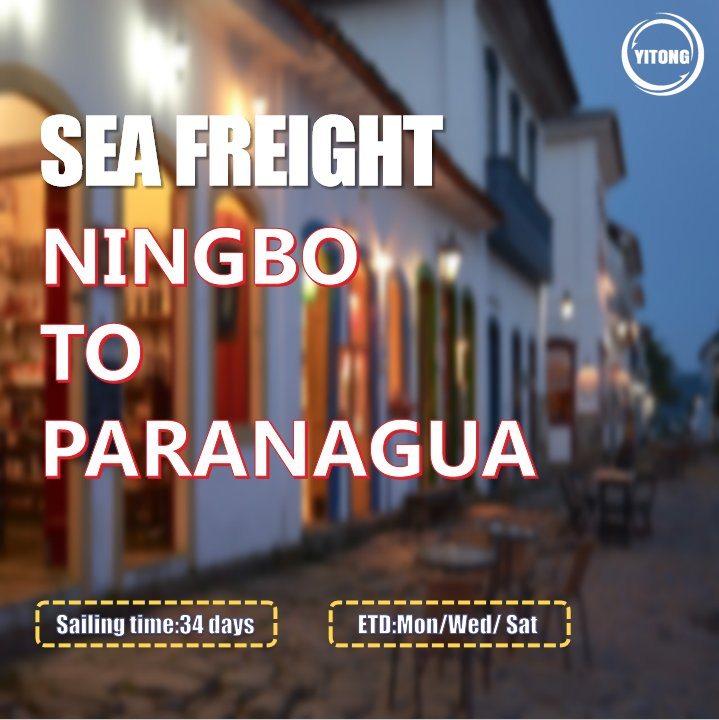 Forwarder Shipping Agent Full or Less Than Container Load DDU DDP Sea Freight Shipping From China to Paranagua Brazil