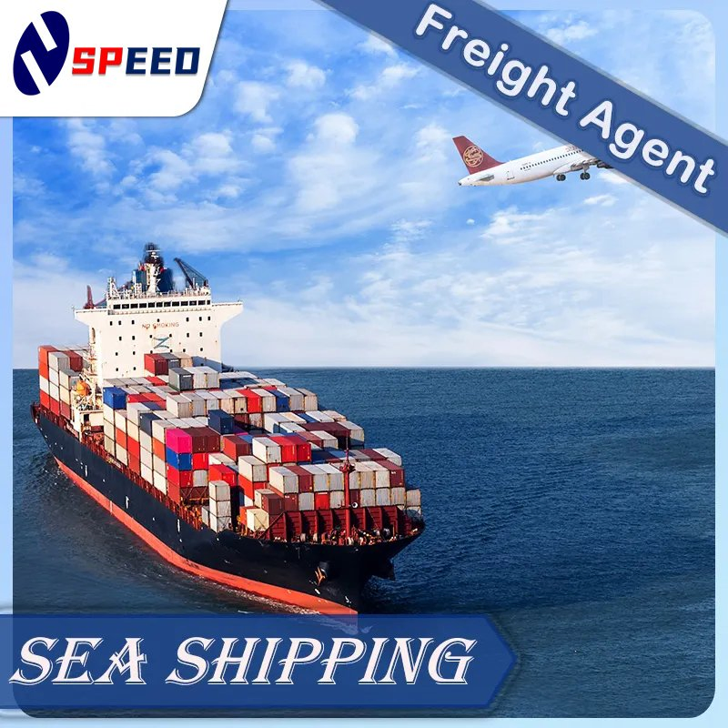 Ocean LCL FCL Worldwide Sea Freight to Damman, Riyadh Fba Logistics Agency Door to Door Shipping Cargo Agent Service