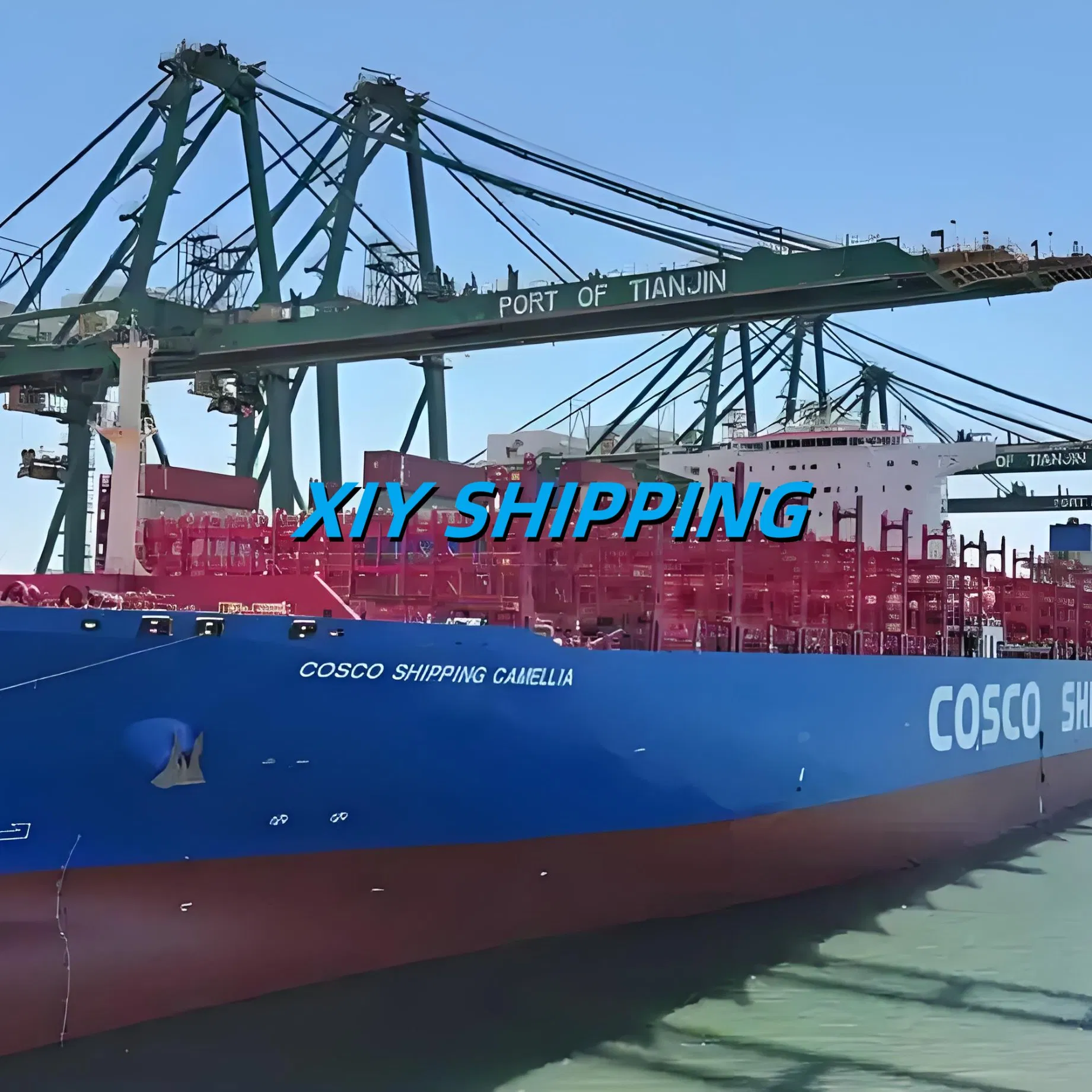 DDU/DDP/CIF Door to Door Portugal Service Air/Sea/Railway/Freight