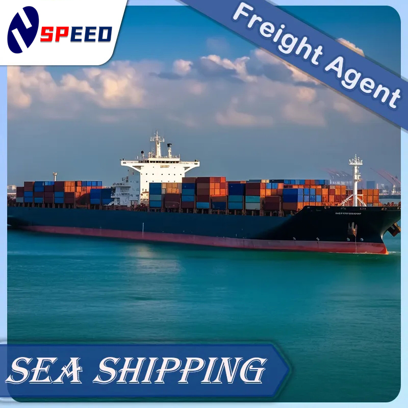 Ocean LCL FCL Worldwide Sea Freight to Damman, Riyadh Fba Logistics Agency Door to Door Shipping Cargo Agent Service