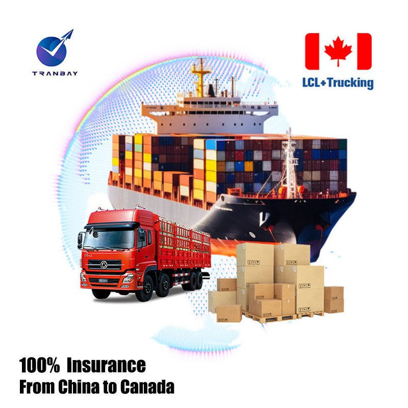 100% Insurance Freight Forwarder Shipping Agent From China to Canada Europe DDP Ocean Freight LCL Sea Shipping