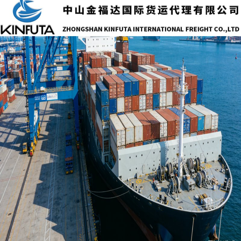 International DDU/DDP Sea Freight Shipping From China to USA FCL Full Container Load 20gp 40FT LCL France USA Canada Germany France Spain