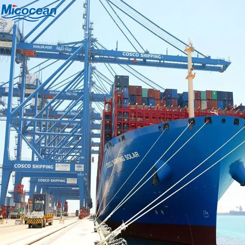 Sea Shipping Professional Forwarder Less Than Container Load Fast Freight DDP DDU to America/Canada