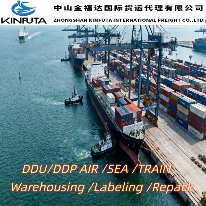 International DDU/DDP Sea Freight Shipping From China to USA FCL Full Container Load 20gp 40FT LCL France USA Canada Germany France Spain