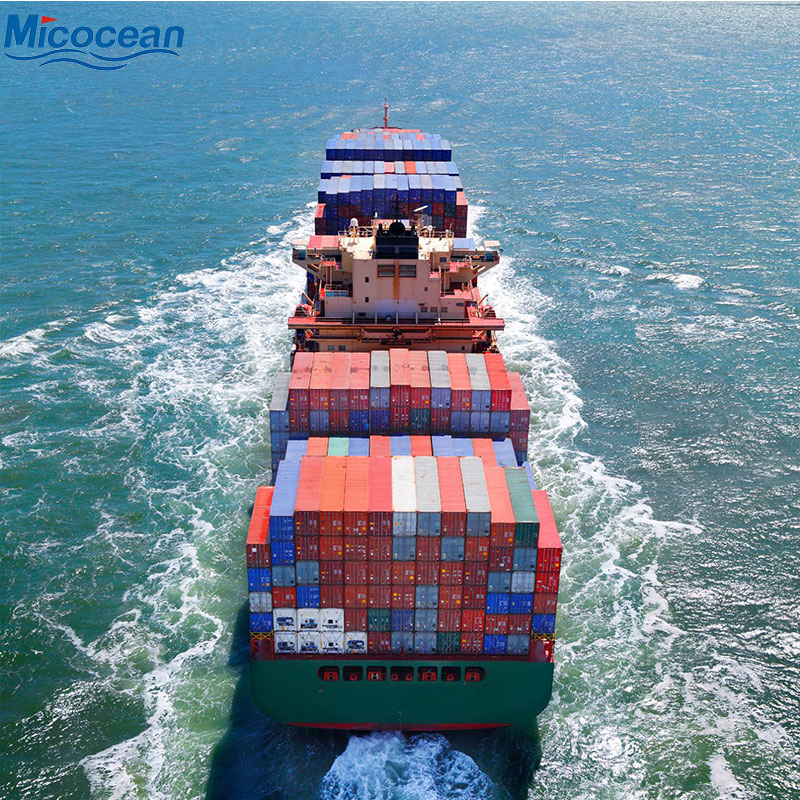 Sea Shipping Professional Forwarder Less Than Container Load Fast Freight DDP DDU to America/Canada