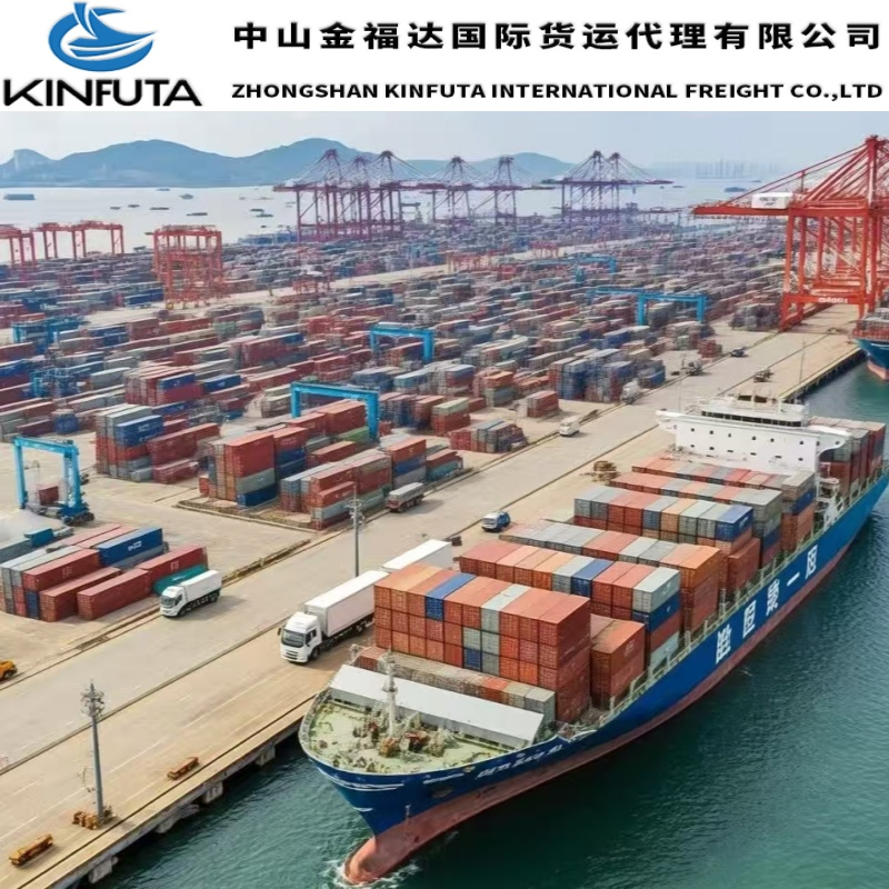 DDU/DDP Logistics Service Transportation Cargo Sea Freight Consolidation to Varese/Venice/Venezia/Vercelli/Verona/Vicenza/Viterbo Italy