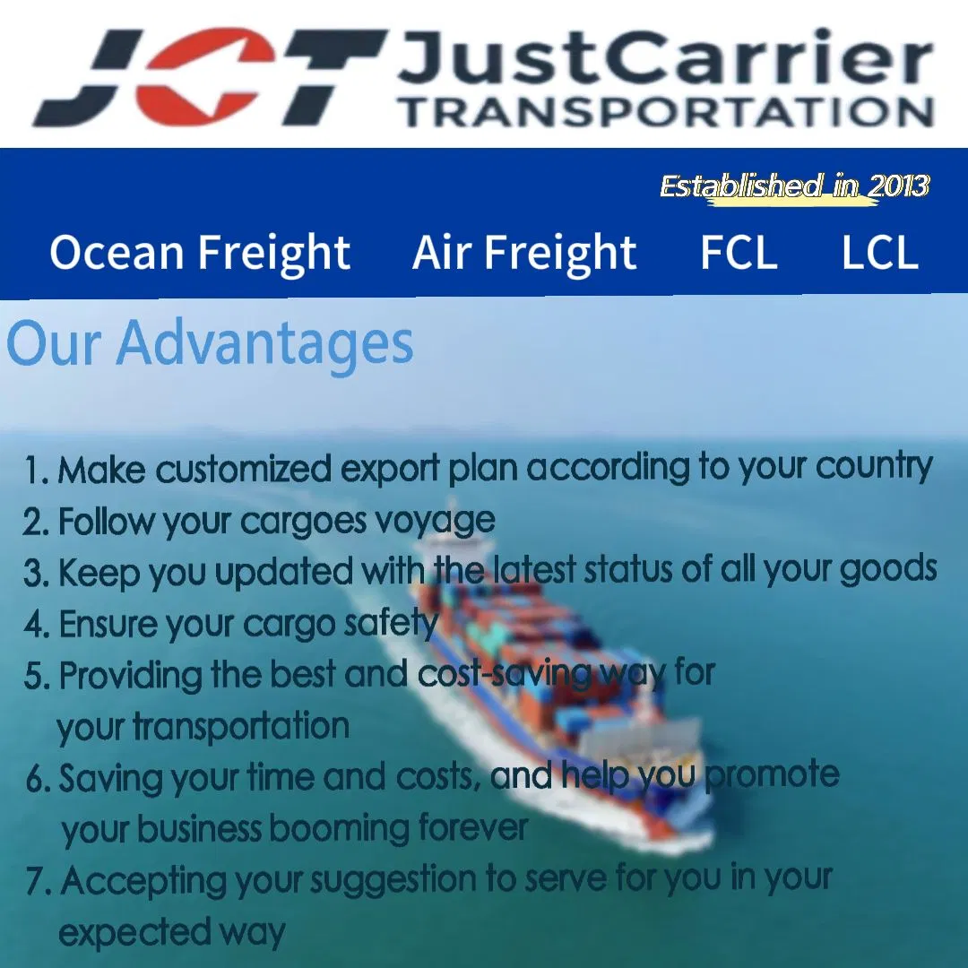 FCL/LCL Sea Shipping Agent Ocean Freight Forwarder From China to Gdansk