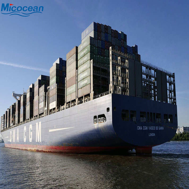 Sea Shipping Professional Forwarder Less Than Container Load Fast Freight DDP DDU to America/Canada