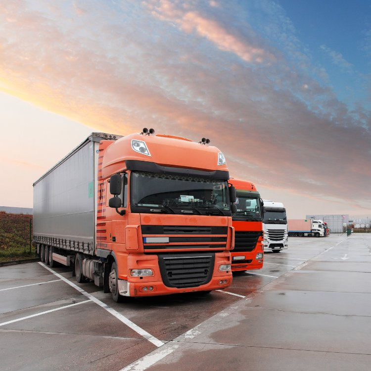 The Cheap Sea Freight From Shenzhen Port to Tuticorin India Port