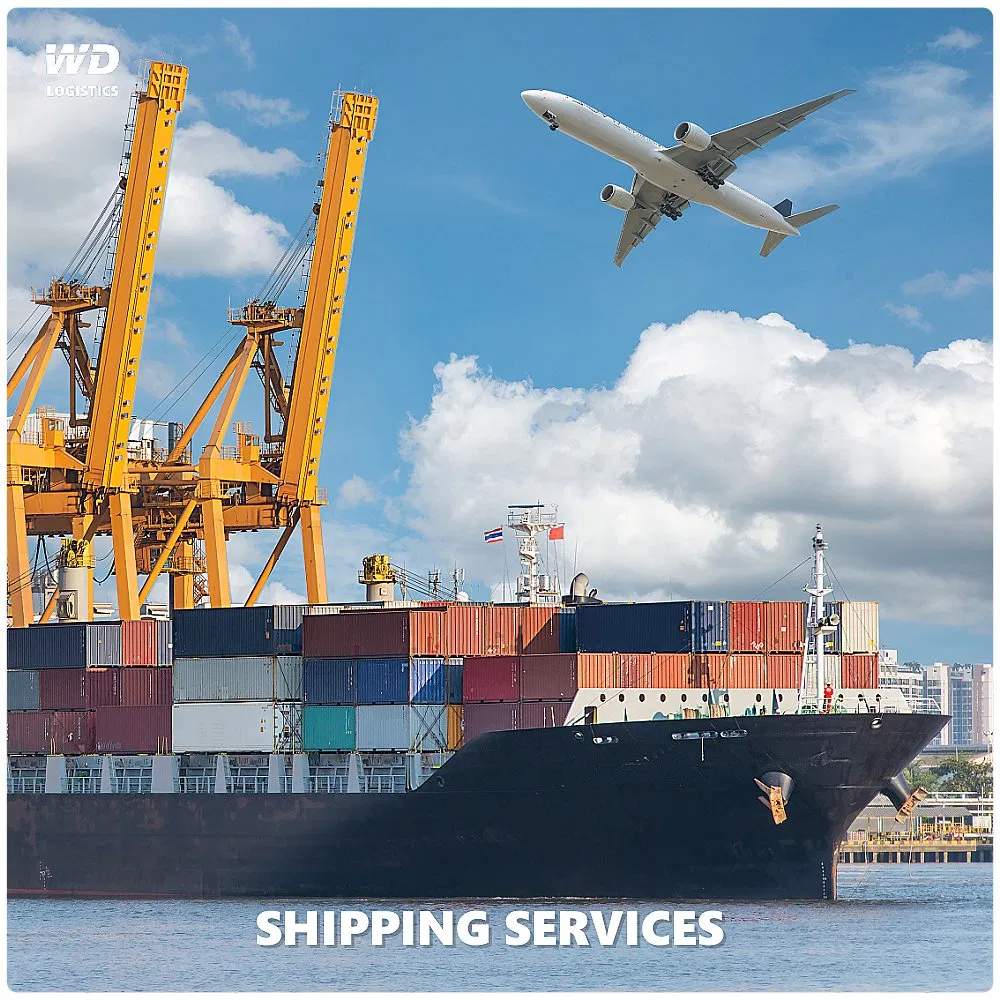 UAE FCL LCL Sea Freight China Shipping Consolidation to Dubai Saudi Arabia