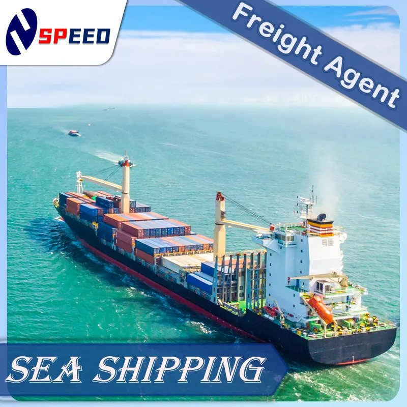 Ocean LCL FCL Worldwide Sea Freight to Damman, Riyadh Fba Logistics Agency Door to Door Shipping Cargo Agent Service