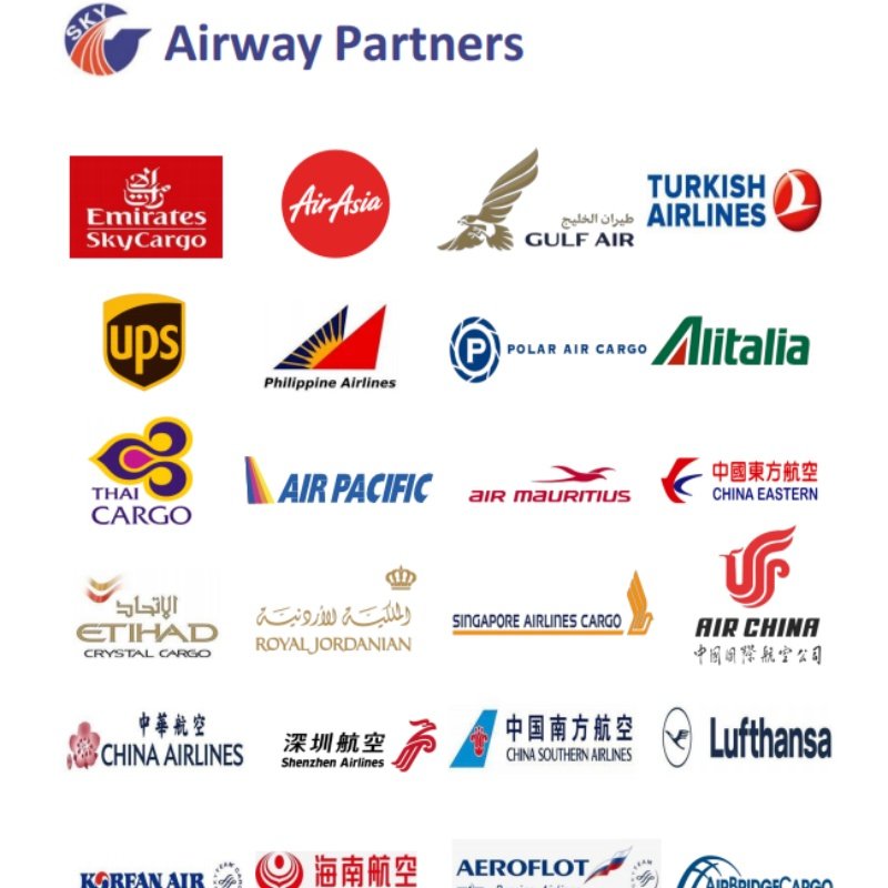 Lithium Batteries, New Energy Vehicles Transported to South America by Sea Shipping.