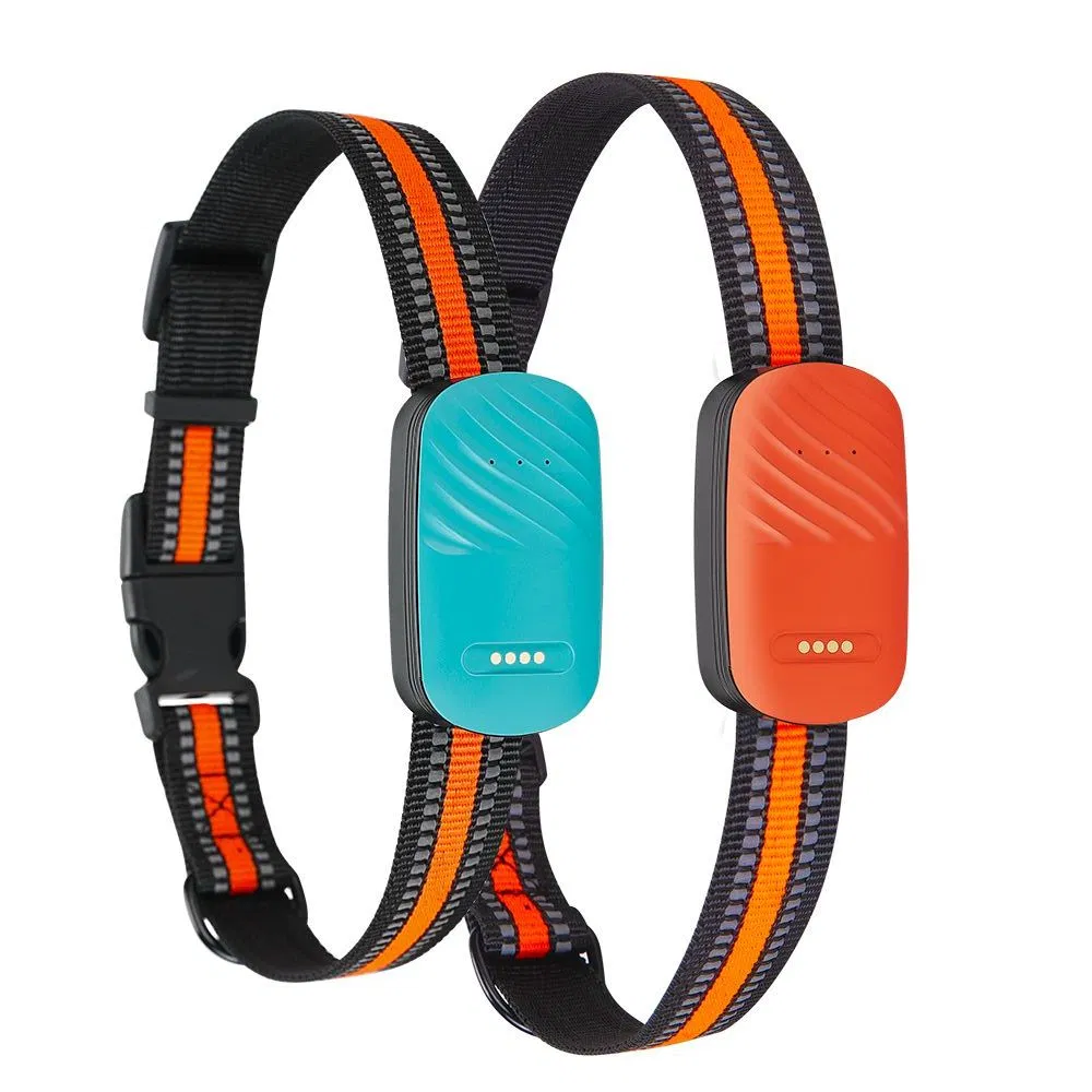 Advanced Pet Tracker with Real Time Location Tracking for Your Pets