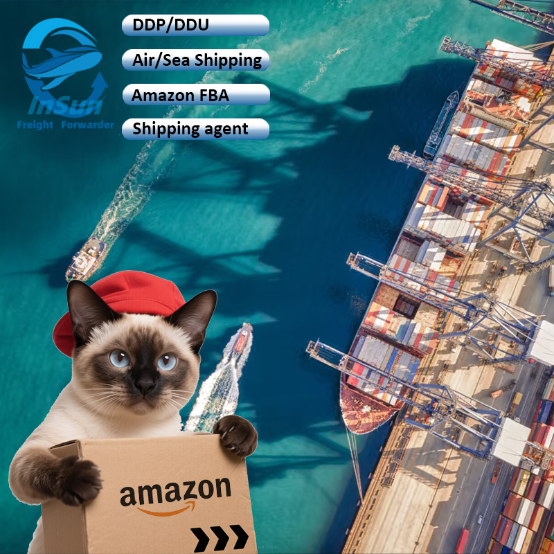 Professional International DDP DHL/UPS/FedEx/TNT Air Cargo Shipping Service to USA Canada UK Italy Mexico Germany France