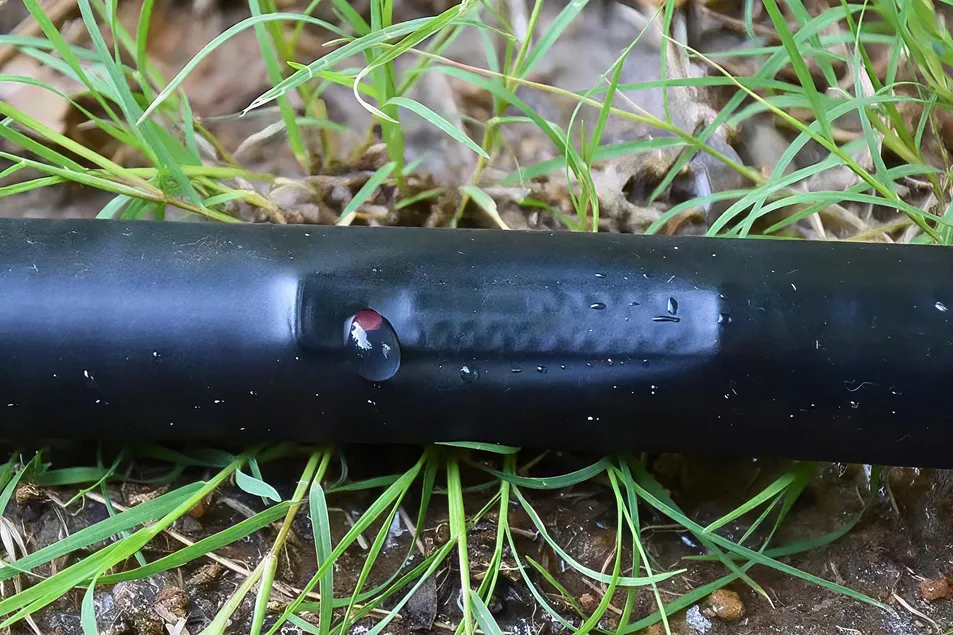 Key Features of Drip Line