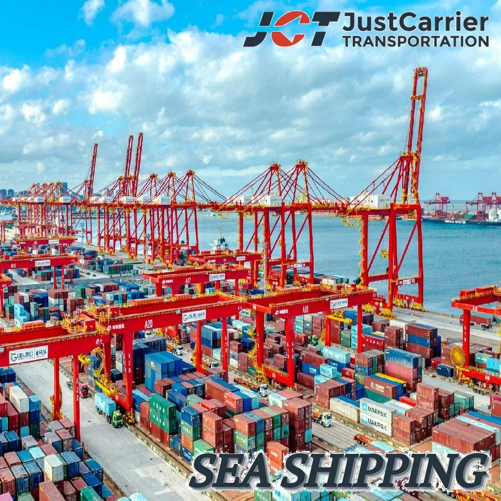 Professional Sea Freight Forwarder Ocean Shipping FCL/LCL Consolidation Agent Service to Honolulu