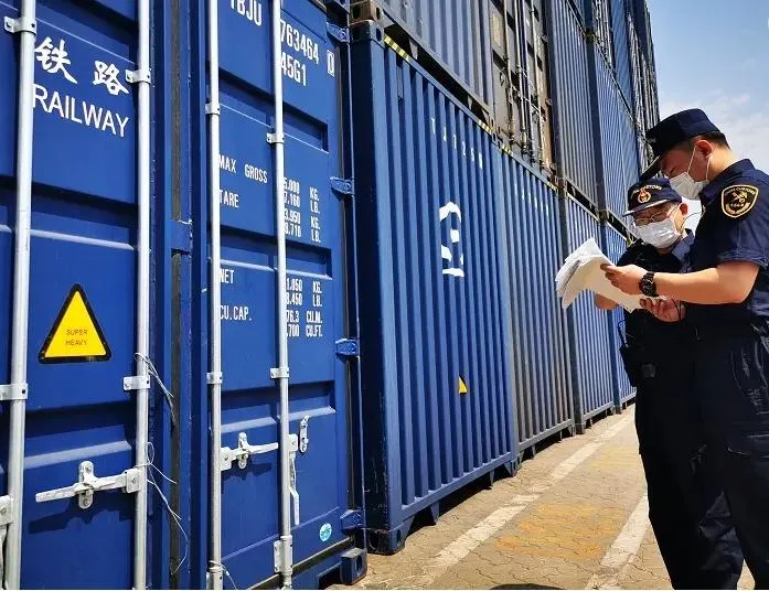 Import and Export Customs Declaration Service