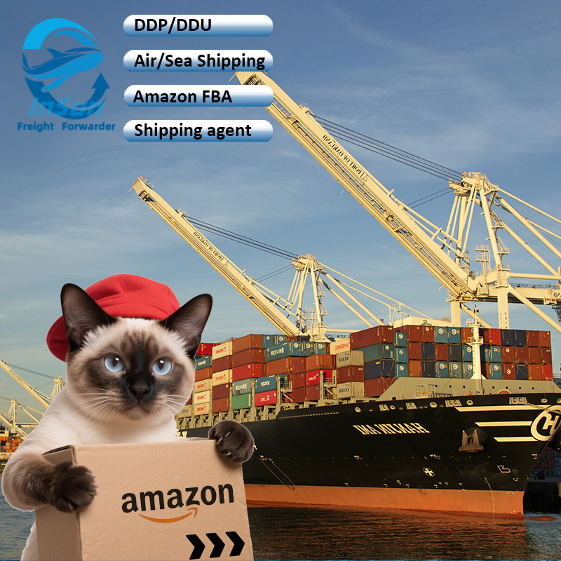 Top International Air Cargo Shipping DHL/UPS/FedEx Service From China to USA UK Canada Germany