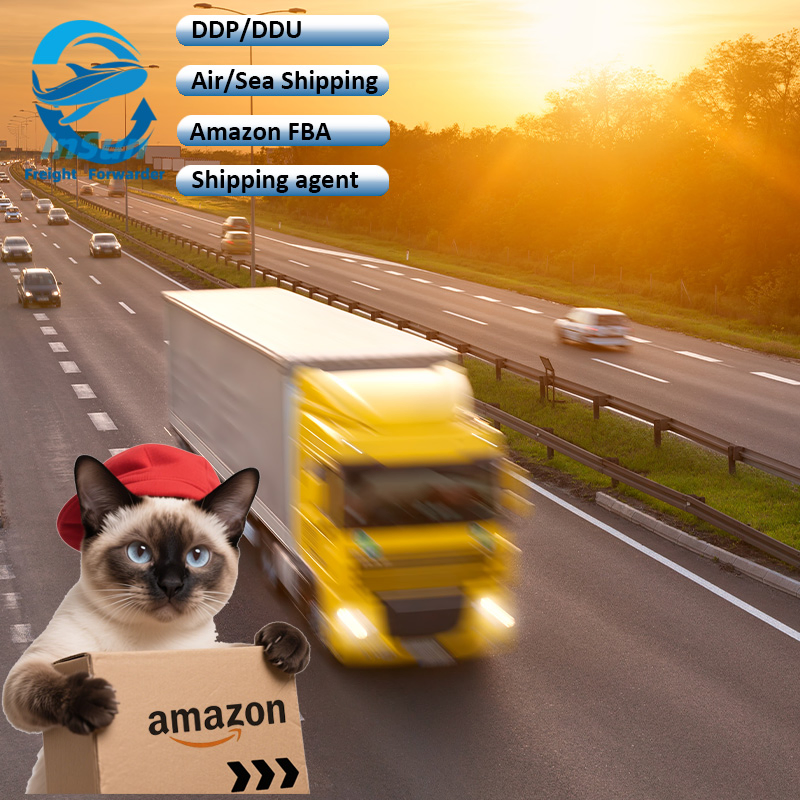 Top International Air Cargo Shipping DHL/UPS/FedEx Service From China to USA UK Canada Germany