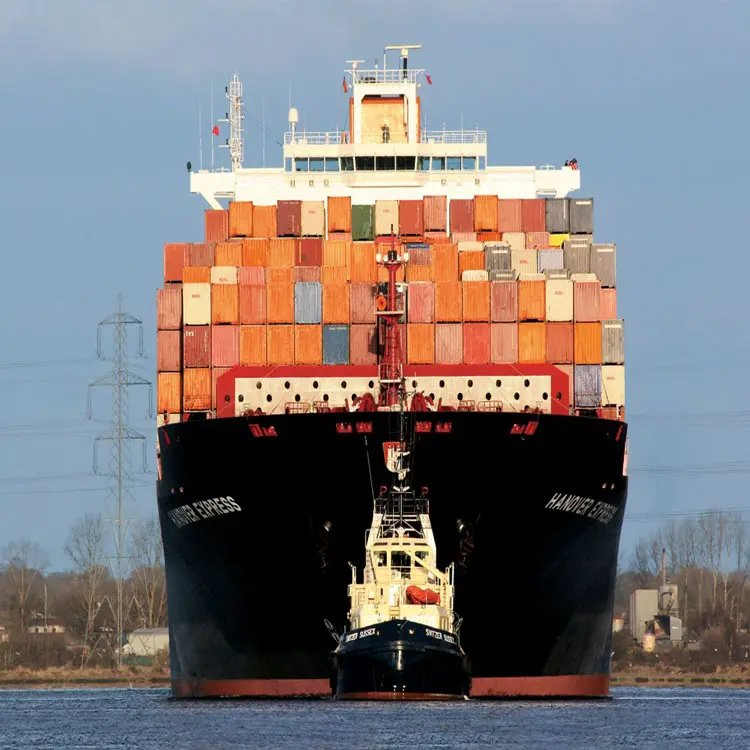 Provide Ningbo Export Customs Services