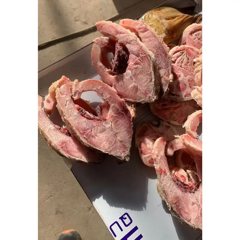 Tuna Cutting Machine Detail View - Commercial Fish Meat Cube Cutting Equipment