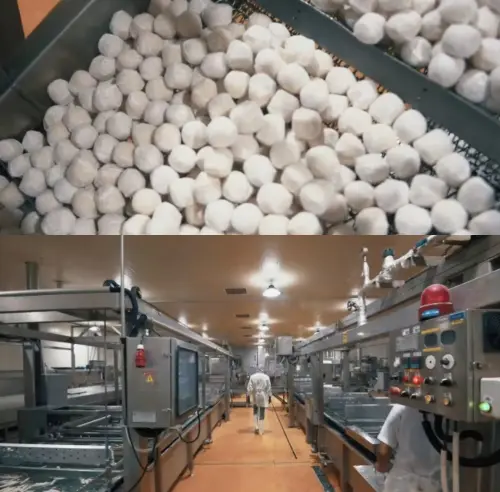 Best Automatic fishball/meatball production line/making machine Supplier, Factory