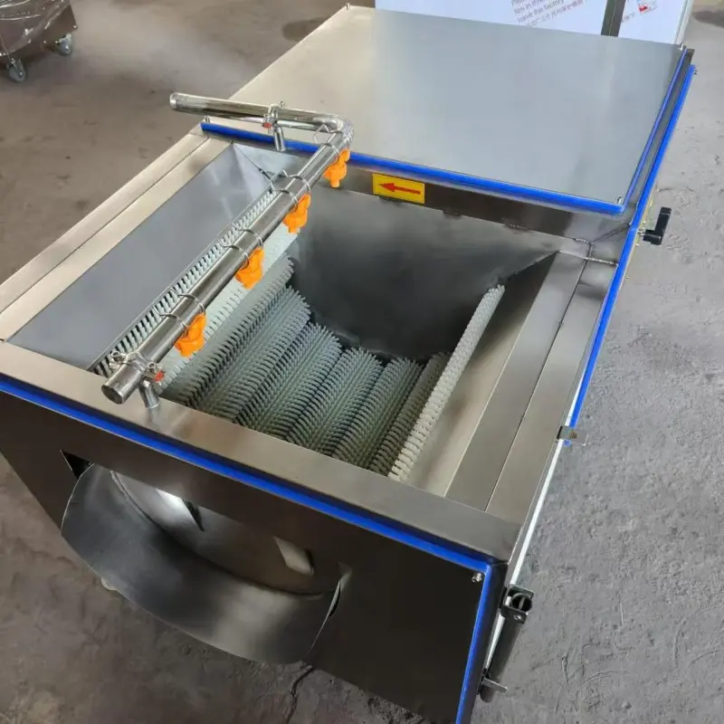 Fish Scaling Machine Detail View - Commercial Automatic Fish Cleaning Equipment
