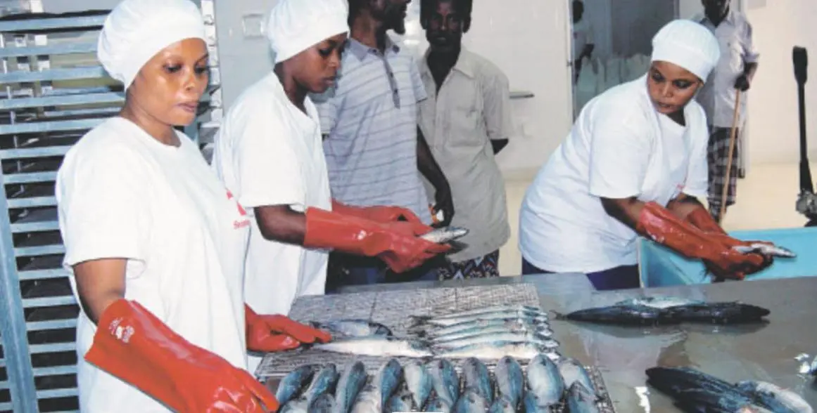 FSL Advanced Food Machinery - High-Performance Industrial Processing Equipment