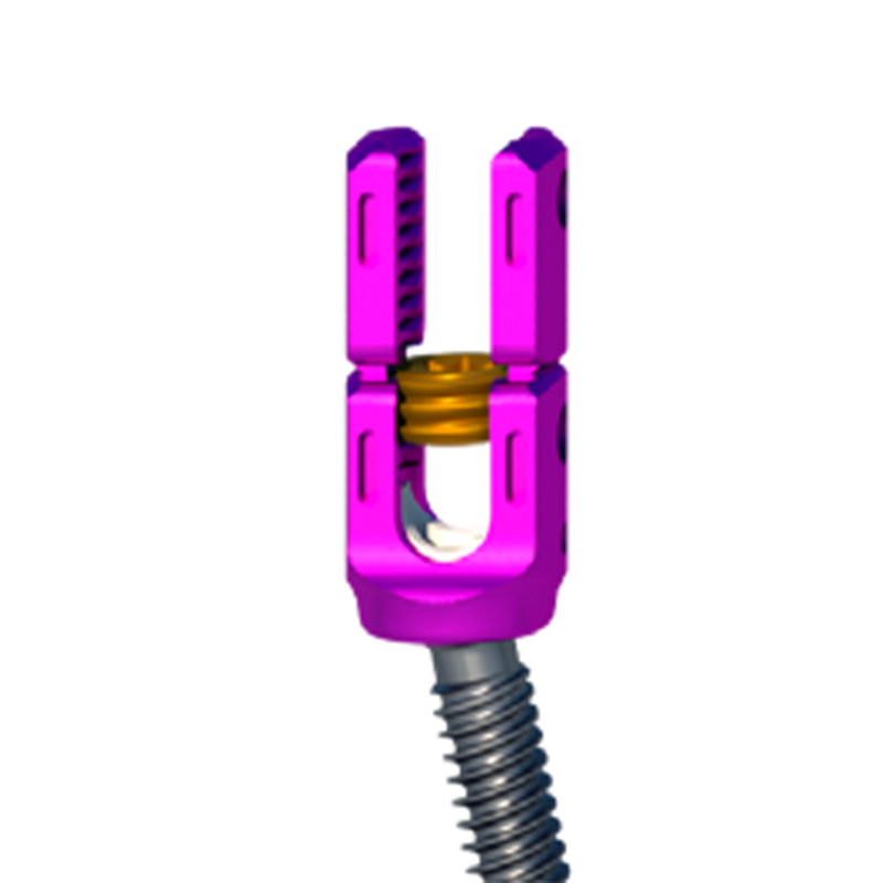 Usmart 5.5mm Titanium Spinal Screw System Most Competitive Price Made for Hospitals in China